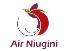 Air Niugini (Эйр Ньюджини)