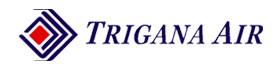 Trigana Air (Тригана Эйр) Самолет 1