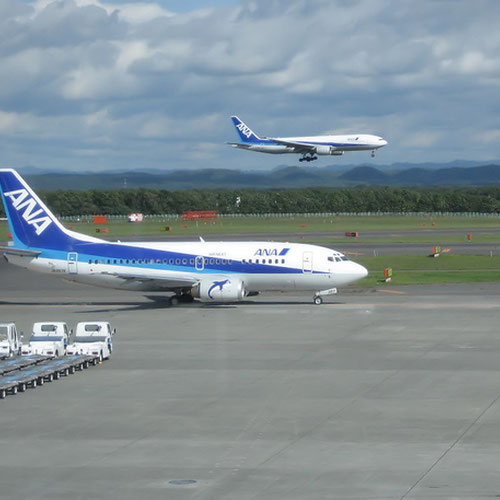 All Nippon Airways (Ол Ниппон Эйрвейс) Самолет 5