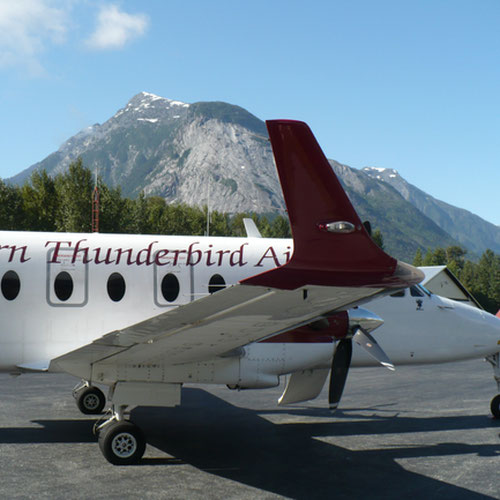 Northern Thunderbird Air (Нортен Тандербёрд Эйр) Самолет 2