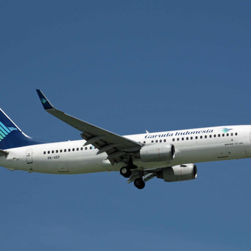 Garuda Indonesia (Гаруда Индонейзиа) Самолет 3
