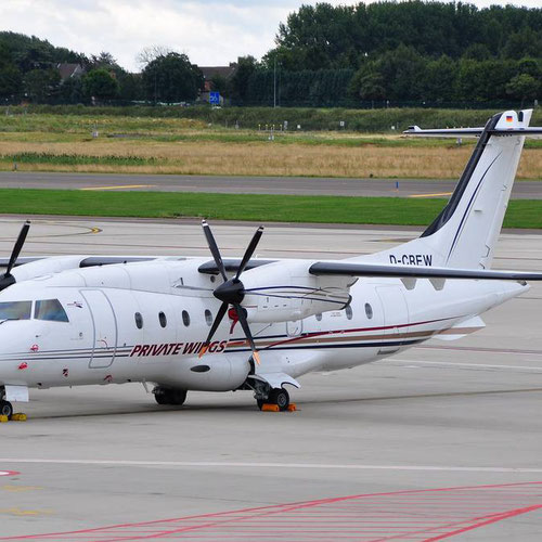 Private Wings (Прайвэт Вингз) Самолет 3