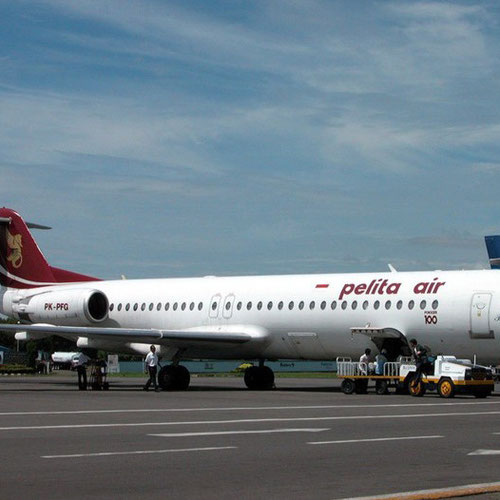 Pelita Air Service (Пелита Эйр Сервис) Самолет 1