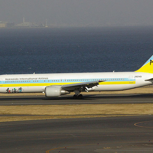Air Do (Эйр Ду) Самолет 2