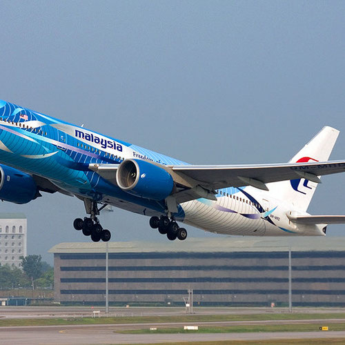 Malaysia Airlines (Малайзия Эйрлайнс) Самолет 1