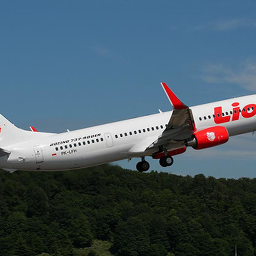Lion Air (Лайон Эйр) Самолет 3