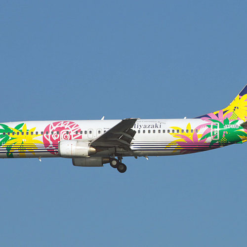 Solaseed Air (Солайсид Эйр) Самолет 1