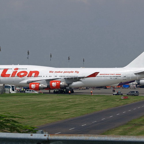 Lion Air (Лайон Эйр) Самолет 6
