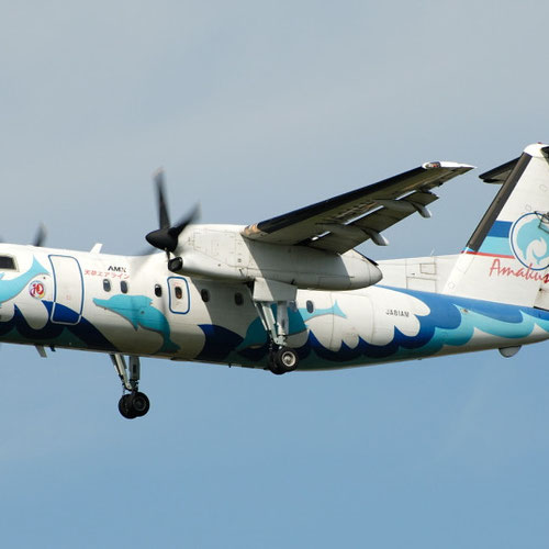 Amakusa Airlines (Амакуса Эйрлайнс) Самолет 1