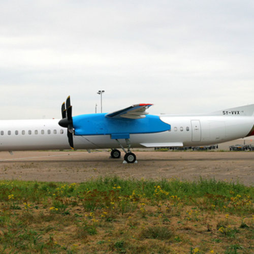 Bluebird Aviation (Блюбёд Авиэйшн) Самолет 3