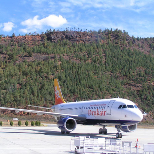 Druk Air (Друк Эйр) Самолет 1