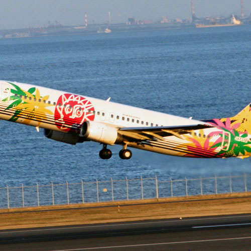 Solaseed Air (Солайсид Эйр) Самолет 2