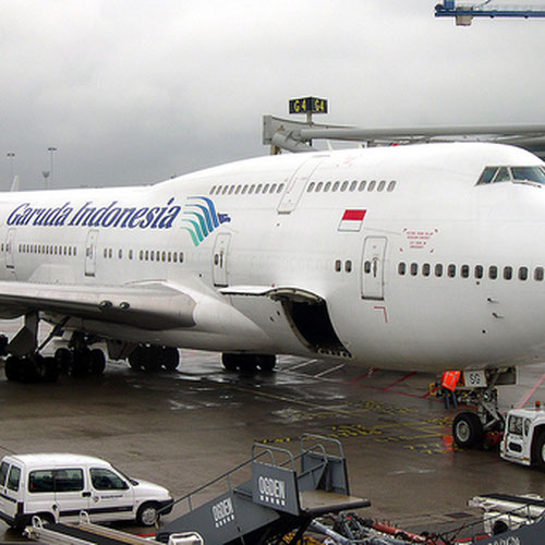 Garuda Indonesia (Гаруда Индонейзиа) Самолет 2