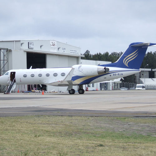 Royal Jet (Роял Джет) Самолет 2