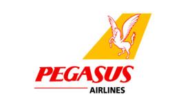 MASwings (МАСвингз) Самолет 1