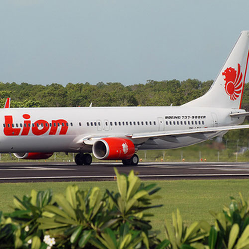 Lion Air (Лайон Эйр) Самолет 1