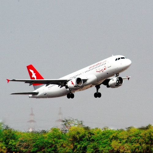 Air Arabia (Эйр Арабия) Самолет 3
