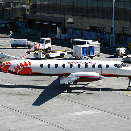 Bearskin Airlines (Беарскин Эйрлайнс) Самолет 1