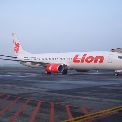 Lion Air (Лайон Эйр) Самолет 5