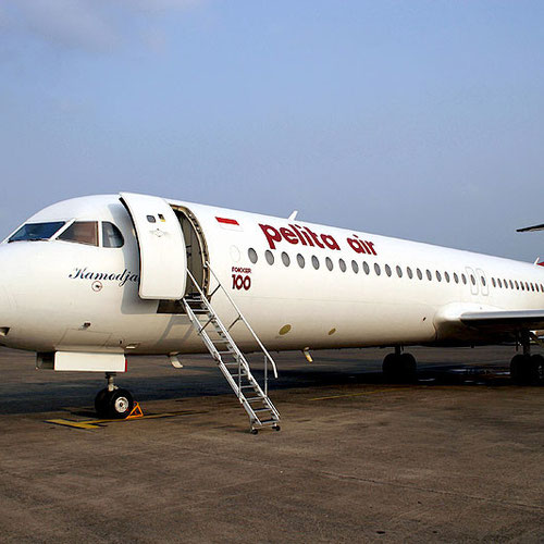 Pelita Air Service (Пелита Эйр Сервис) Самолет 3