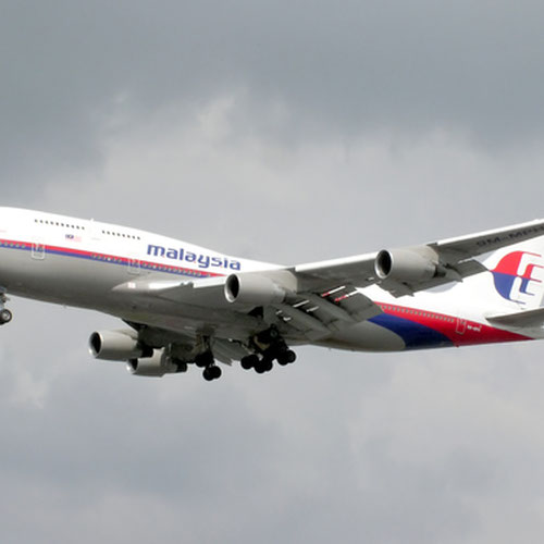 Malaysia Airlines (Малайзия Эйрлайнс) Самолет 2