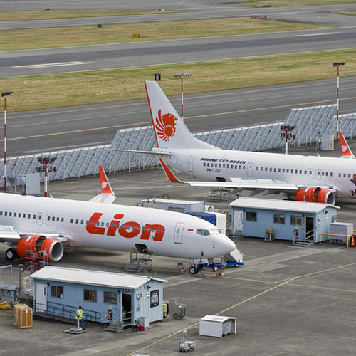 Lion Air (Лайон Эйр) Самолет 2