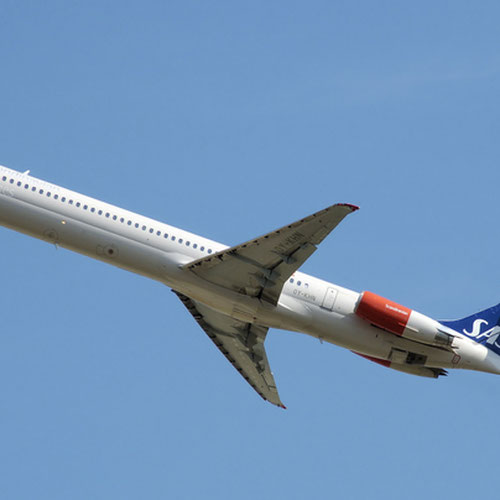 Scandinavian Airlines (Скандинавские Авиалинии) Самолет 2