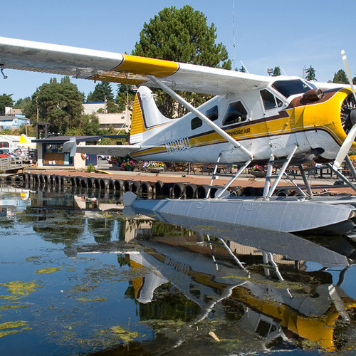 Kenmore Air (Кенмор Эйр) Самолет 3