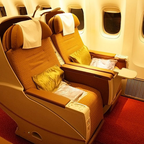 Air India (Эйр Индия) Самолет 6