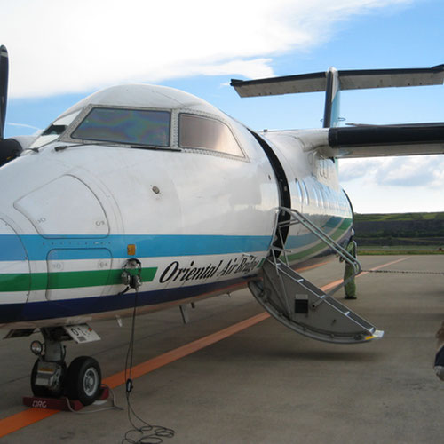 White Airways (Уайт Эйрвейс) Самолет 2
