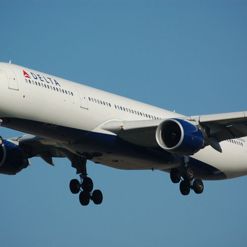 Delta Air Lines (Дельта Эйр Лайнс) Самолет 2