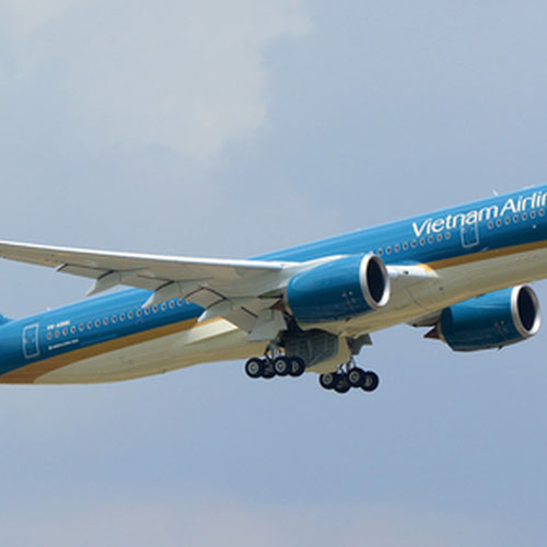 Vietnam Airlines (Вьетнам Эйрлайнс) Самолет 3